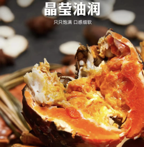 澄湖美锦 阳澄好物 阳澄湖大闸蟹礼券现售