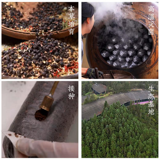 【福建古田】有机本草银耳一罐80g 商品图1