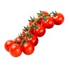 柿一家 串收樱桃番茄 商品缩略图0