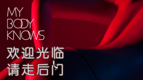 An*lFun欢迎观临，请走后门 全新2.0｜音视频｜思维导图