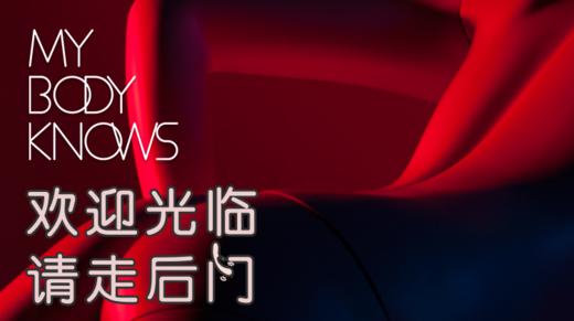 An*lFun欢迎观临，请走后门 全新2.0｜音视频｜思维导图 商品图0