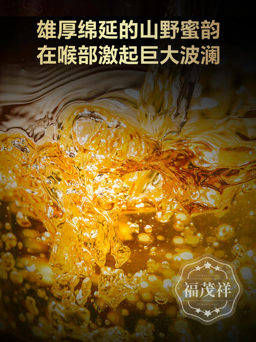 【新品上新】【凤凰母树】墨江凤凰窝的始祖 6棵顶级单株古树 2024年春茶精选普洱茶区凤凰窝6颗单株古树普洱生茶饼357g 商品图3