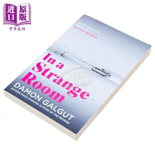 【中商原版】在一个陌生的房间 英文原版 In a Strange Room Damon Galgut 商品图2