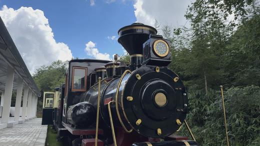 恩施建始七彩森林文旅康养小镇森林小火车套票 商品图0