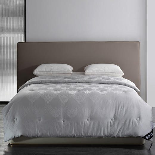 HBCS-010 BOSS蚕丝蛋白被【SZCT8.0】 商品图0