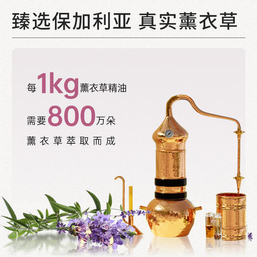 olioseptil久木之名薰衣草油胶囊口服精油调节睡眠助眠舒缓法国 商品图2