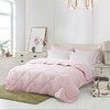 5F梦洁乐桃桃维C纤维被200*230cm 商品缩略图1