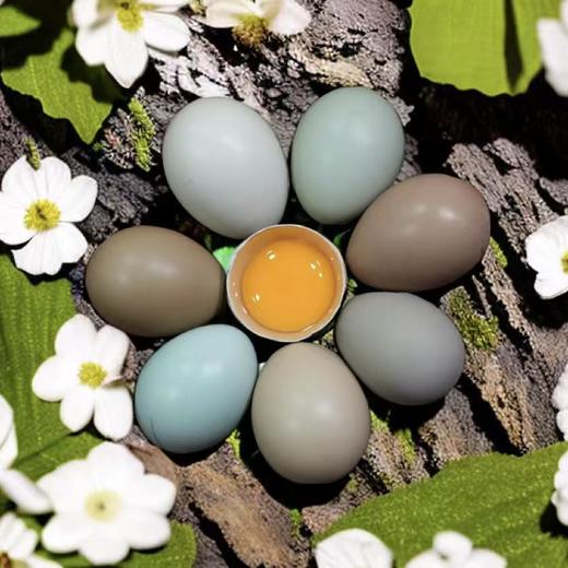 【顺丰包邮】贵州安顺森林野鸡鸡蛋，蛋鲜香，味浓无土腥味，当天现捡现发  基地直邮 商品图0