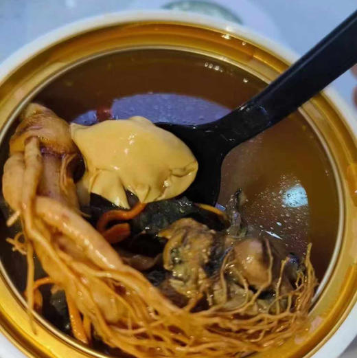 来点不一样的高端大气[爱心]人参花胶炖乌鸡✅整根人参✅花胶、乌鸡、虫草✅牛的是·自加热❗️ 商品图1