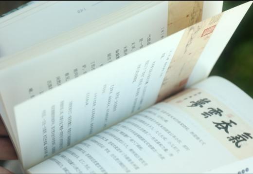 雪丽春信李清照+仗剑千年辛弃疾 商品图4