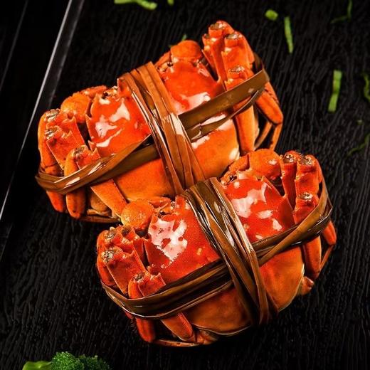 【8只装！阳澄湖镇大闸蟹2.0-2.5两】提货卡 蟹黄饱满，肉嫩多汁，鲜香好滋味，鲜活螃蟹活蟹螃蟹 商品图3