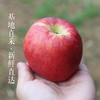 安心优选 2026年新鲜嘎啦苹果 包邮 口感沙脆偏面 汁水足 新鲜水果 商品缩略图2