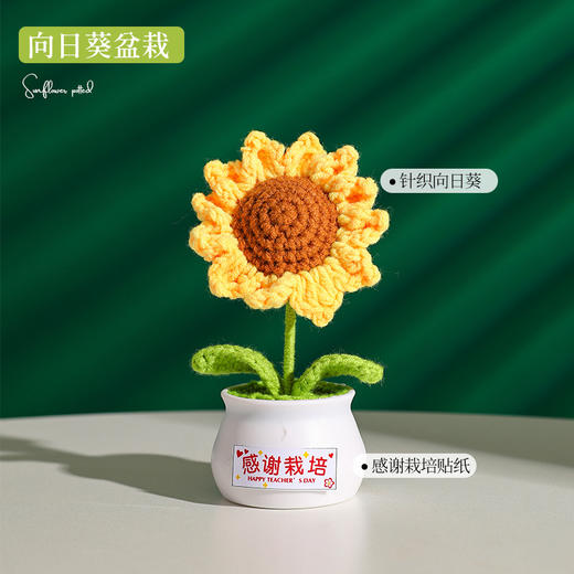 【教师节感谢栽培礼！向日葵小盆栽】教师节礼物向日葵花束小礼品送老师迷你永生花摆件创意桌面小盆栽，不止是摆件，更是艺术品。ry 商品图6