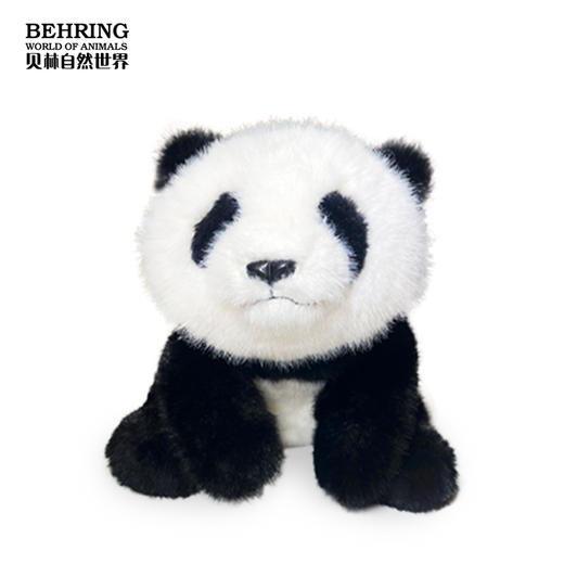 百日龄大熊猫 商品图1