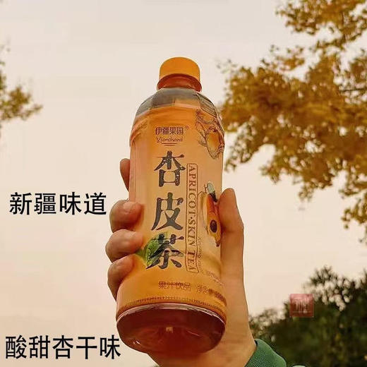 新疆杏皮茶杏皮水茶水饮料风味凉茶原味500ml 商品图3