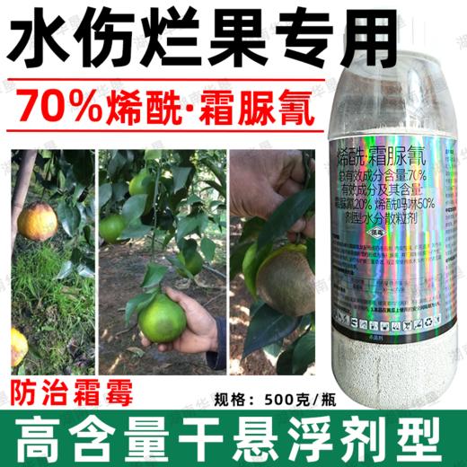 荣邦70%烯酰霜脲氰农用杀菌剂水伤黄瓜霜霉病专用杀菌剂正品批发 商品图1