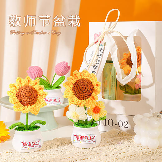 【教师节感谢栽培礼！向日葵小盆栽】教师节礼物向日葵花束小礼品送老师迷你永生花摆件创意桌面小盆栽，不止是摆件，更是艺术品。ry 商品图1