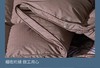 【富安娜】B座7F】匈牙利进口羽绒被/杰诺斯克 商品缩略图9