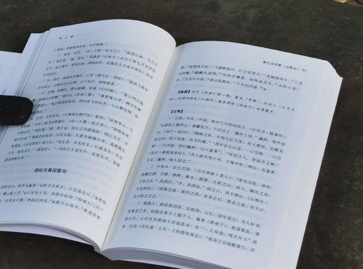 章太炎三种：《章太炎讲历史》《章太炎诗集（注释本）》《章太炎和他的时代》，三册，章太炎著/周东华主编，上海人民出版社2020年一版一印，190+312+382页，三册总定价：218元，售价80元。 商品图4