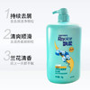 【飘柔】兰花香型二合一双效清爽去屑洗发水1L装 洁顺水润洗发露洗头膏大瓶 家庭正装 商品缩略图0