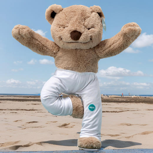 elina一恋普拉提百变瑜伽普拉提熊Ebear888 商品图0