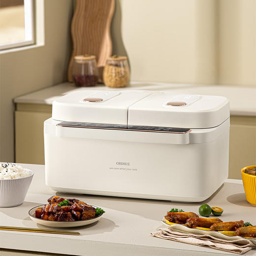 德国OIDIRE多功能双胆电饭煲【ZGC5.0】 商品图4