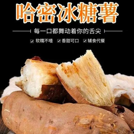 甄源|山东蒙阴奶油白蜜薯4.5-5斤约12个哈密冰糖粉糯红薯 商品图0