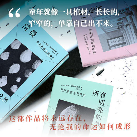 哥本哈根三部曲《清晨》《所有明亮的梦》《白昼坠落》丹麦传奇女作家 托芙·迪特莱弗森 重磅代表作 中文首次出版 商品图2