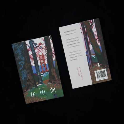 【签名本】在中间（罗衣首部随笔集，邀请你放慢步调，着眼日常细节，感受生命悸动）中英双语随笔×绘画摄影作品，Z世代关于自我、生活、女性、世界、艺术与美的思考 商品图3