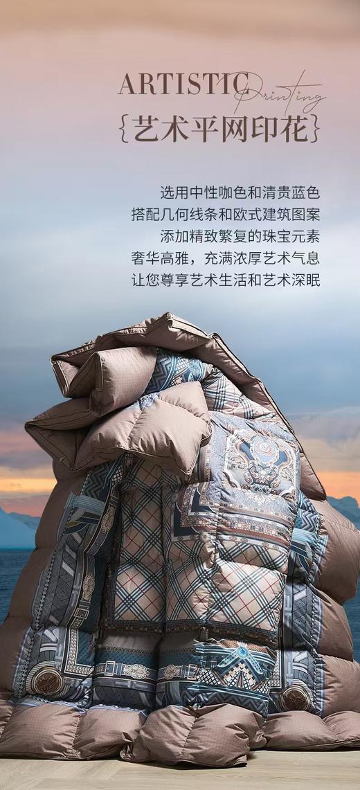 【富安娜】B座7F】匈牙利进口羽绒被/杰诺斯克 商品图5