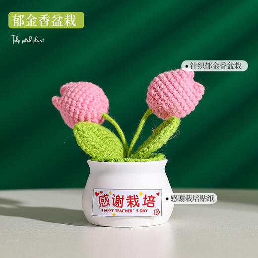 【教师节感谢栽培礼！向日葵小盆栽】教师节礼物向日葵花束小礼品送老师迷你永生花摆件创意桌面小盆栽，不止是摆件，更是艺术品。ry 商品图4