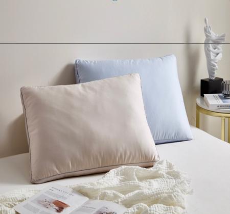 恐龙 莱赛尔棉蚕丝柔丝枕 商品图0