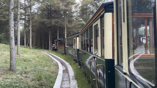 恩施建始七彩森林文旅康养小镇森林小火车套票 商品图1