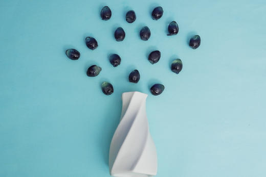 【呼伦贝尔农垦】冷地蓝莓软糖 100g/袋 商品图1