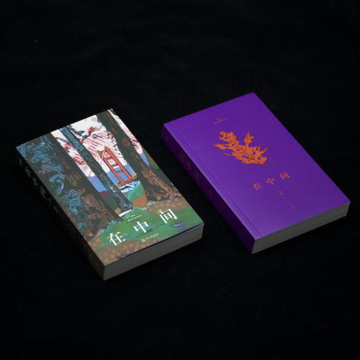 【签名本】在中间（罗衣首部随笔集，邀请你放慢步调，着眼日常细节，感受生命悸动）中英双语随笔×绘画摄影作品，Z世代关于自我、生活、女性、世界、艺术与美的思考 商品图2