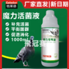 【魔力活菌液】1000ml，超浓缩复合益生菌原液（格莱德） 商品缩略图0