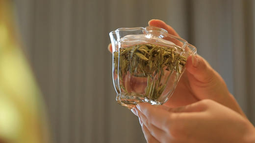 【倩倩直播间推荐】君山银针 2024年黄茶 非遗工艺 三升三落 礼盒装 96g/盒 （8g*12小泡） 商品图4