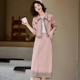 2024新款秋装休闲洋气漂亮减龄牛仔时尚气质显瘦半身裙套装两件套