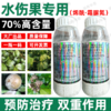 荣邦70%烯酰霜脲氰农用杀菌剂水伤黄瓜霜霉病专用杀菌剂正品批发 商品缩略图4