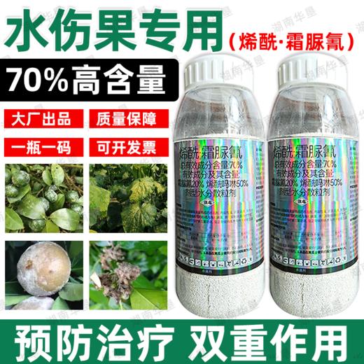 荣邦70%烯酰霜脲氰农用杀菌剂水伤黄瓜霜霉病专用杀菌剂正品批发 商品图4