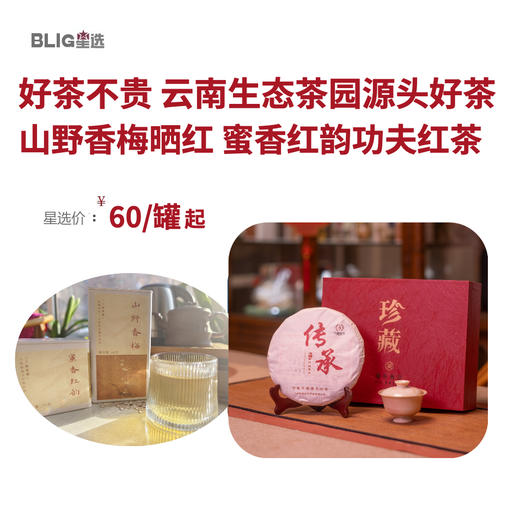 【云南好茶】云南澜沧江红茶 山野香梅·晒红 蜜香红韵·功夫红茶 茶叶  传统手工晒红工艺 生态茶园出品 商品图0