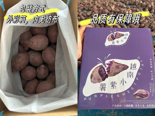 【预售·当季生鲜】9号发货，越南进口珍珠小紫薯 原生态种植，减脂美食、宝宝健康辅食，营养丰富，口感粉糯香甜少丝 商品图7