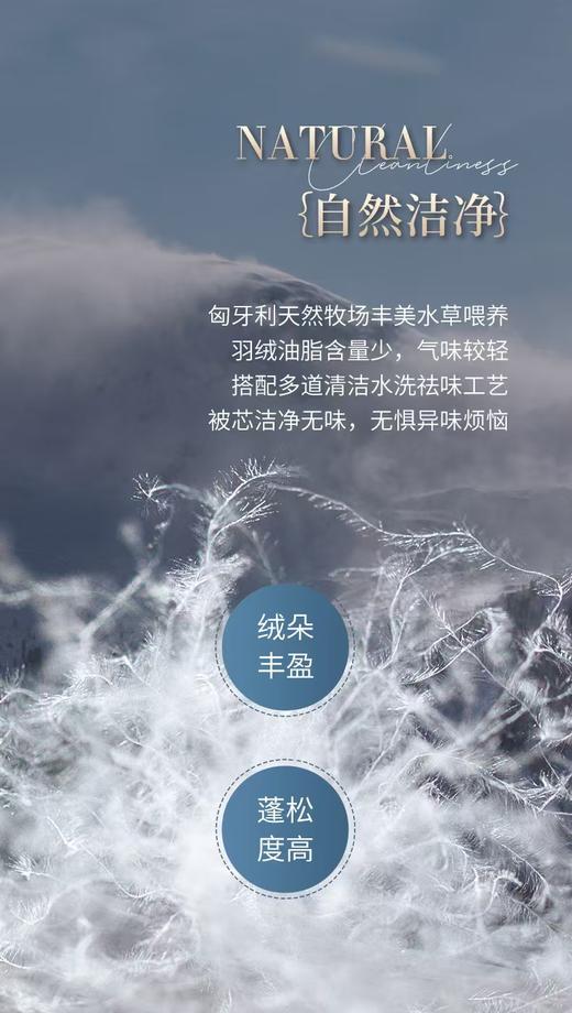 【富安娜】B座7F】匈牙利进口羽绒被/杰诺斯克 商品图6