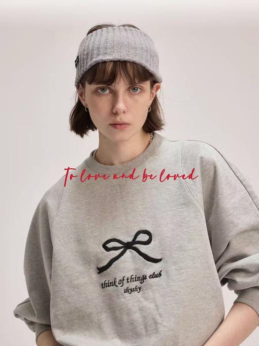 shyshystill/shy202402026/圆领套头刺绣三色卫衣 商品图1