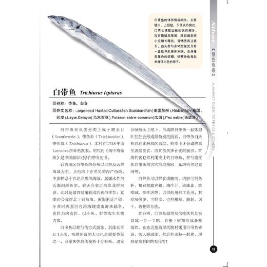 《菜市场鱼图鉴》一读就懂，餐桌上的自然观察课，网罗菜市场上常见的鱼鲜种类近200种（6岁-成人） 商品图3