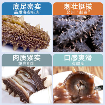 同仁堂海参即食大连海参 辽参300g 10只固形物≥100% 海鲜即食独立包装 商品图2
