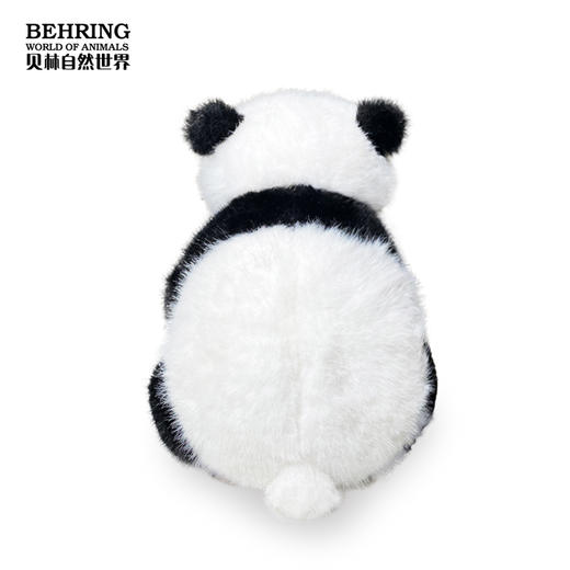 百日龄大熊猫 商品图3