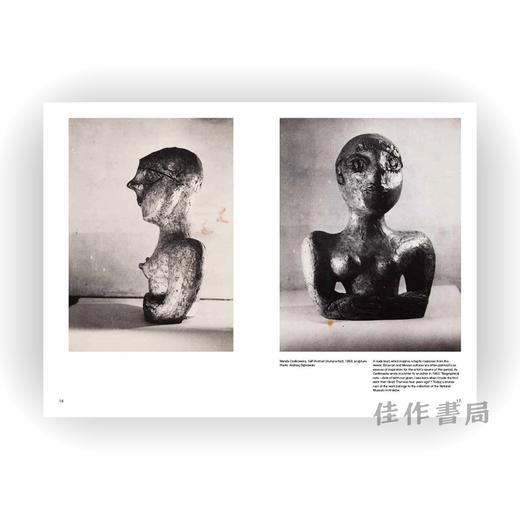 Wanda Czelkowska: Art Is Not Rest / 万达·切尔科夫斯卡：艺术不是静止的 商品图2