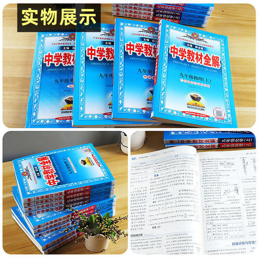 【2024秋 上册】中学教材全解 七八九年级上册语数英生地物化史政人教版 商品图5