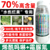 荣邦70%烯酰霜脲氰农用杀菌剂水伤黄瓜霜霉病专用杀菌剂正品批发 商品缩略图3